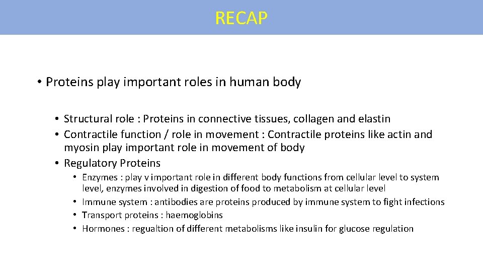 RECAP • Proteins play important roles in human body • Structural role : Proteins
