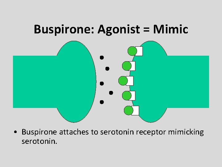 Buspirone: Agonist = Mimic • Buspirone attaches to serotonin receptor mimicking serotonin. 