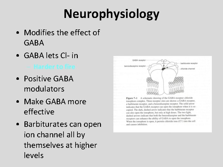 Neurophysiology • Modifies the effect of GABA • GABA lets Cl- in – Harder