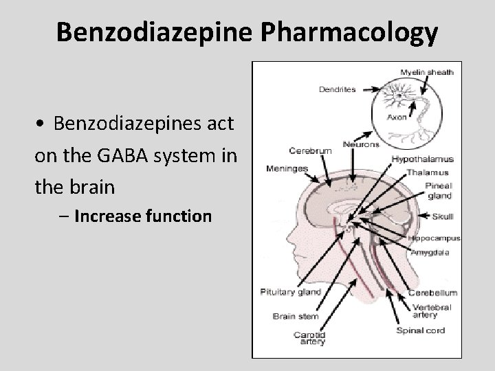 Benzodiazepine Pharmacology • Benzodiazepines act on the GABA system in the brain – Increase