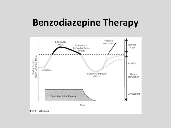 Benzodiazepine Therapy 