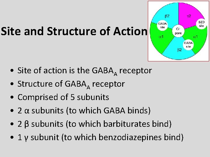 Site and Structure of Action • • • Site of action is the GABAA