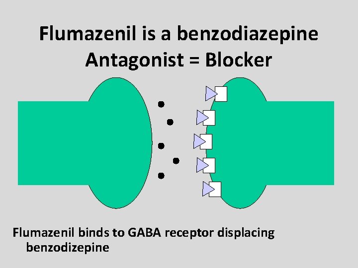 Flumazenil is a benzodiazepine Antagonist = Blocker Flumazenil binds to GABA receptor displacing benzodizepine Flumazenil is a benzodiazepine Antagonist = Blocker Flumazenil binds to GABA receptor displacing benzodizepine