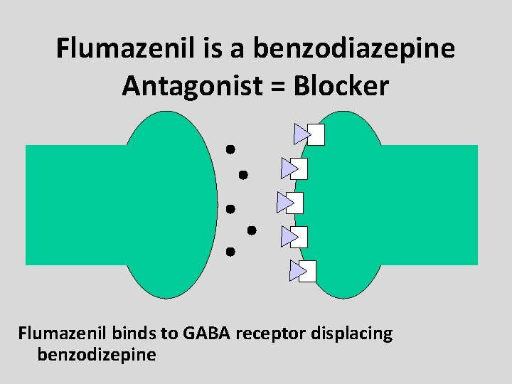 Flumazenil is a benzodiazepine Antagonist = Blocker Flumazenil binds to GABA receptor displacing benzodizepine