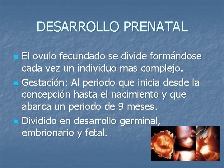 DESARROLLO PRENATAL n n n El ovulo fecundado se divide formándose cada vez un