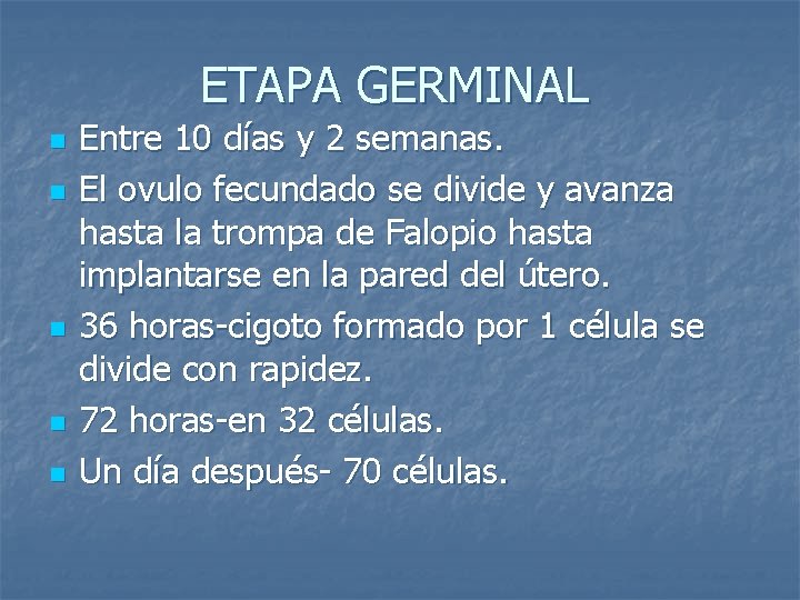 ETAPA GERMINAL n n n Entre 10 días y 2 semanas. El ovulo fecundado