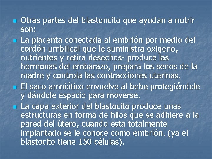 n n Otras partes del blastoncito que ayudan a nutrir son: La placenta conectada