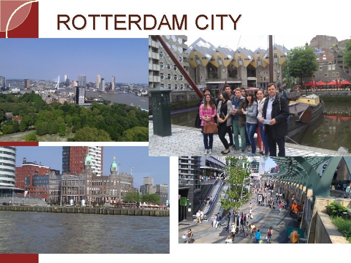 ROTTERDAM CITY 