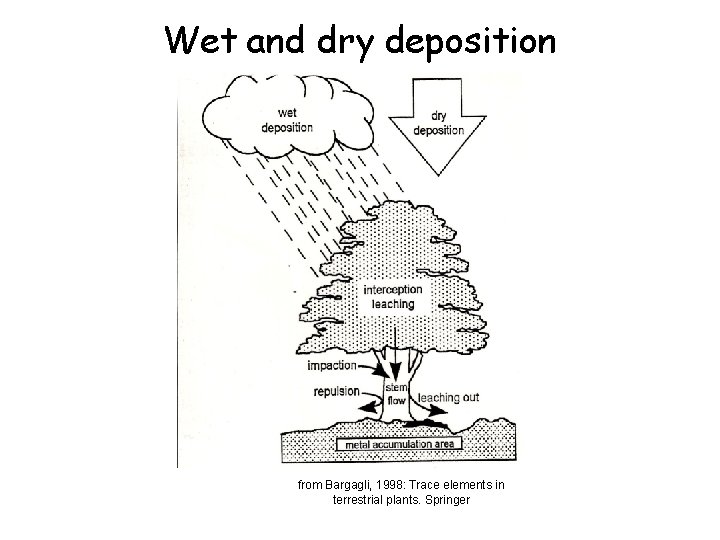 Wet and dry deposition from Bargagli, 1998: Trace elements in terrestrial plants. Springer 