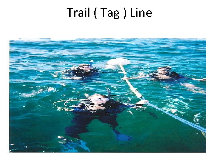 Trail ( Tag ) Line 