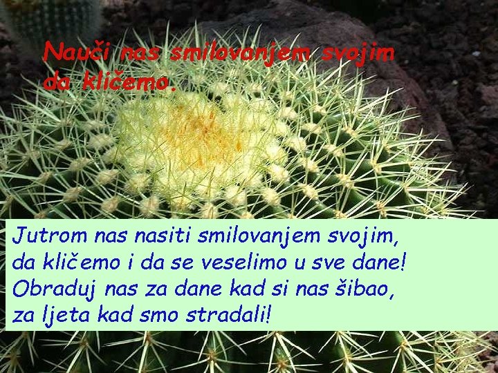 Nauči nas smilovanjem svojim da kličemo. Jutrom nasiti smilovanjem svojim, da kličemo i da