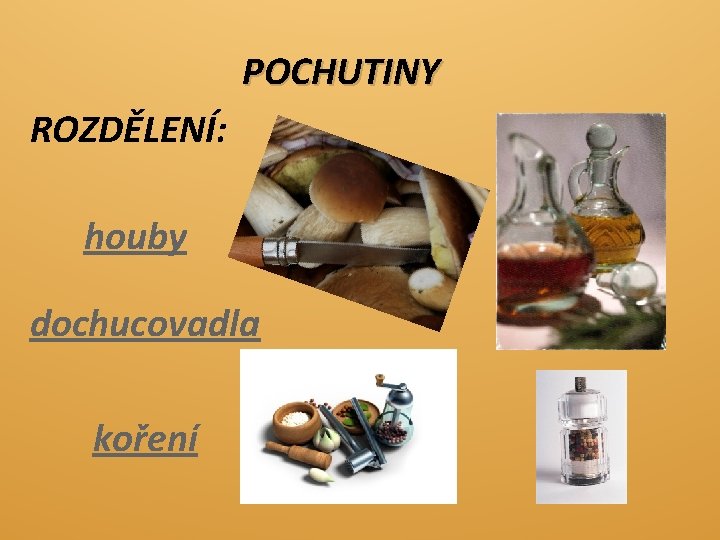 POCHUTINY ROZDĚLENÍ: houby dochucovadla koření 