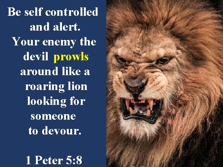 Be self controlled and alert. Your enemy the devil prowls around like a roaring