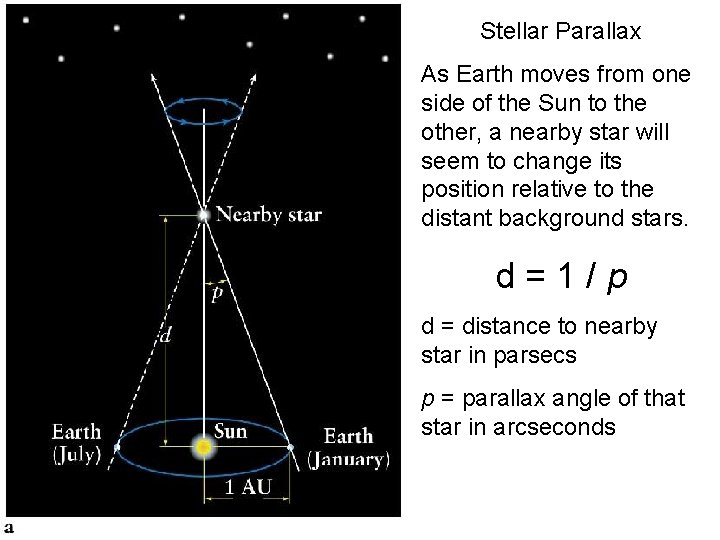 Stellar Parallax As Earth moves from one side of the Sun to the other,