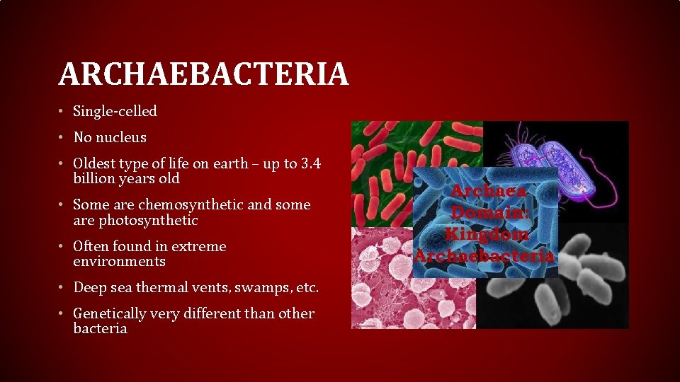 ARCHAEBACTERIA • Single-celled • No nucleus • Oldest type of life on earth –