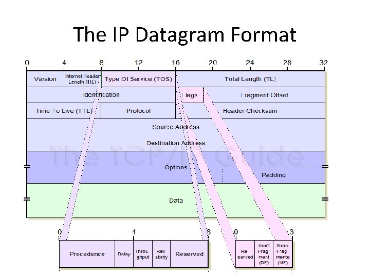 The IP Datagram Format 