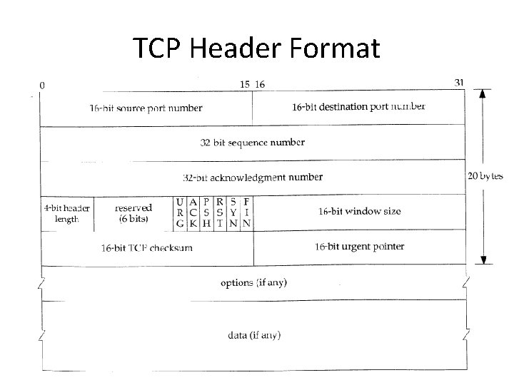 TCP Header Format 