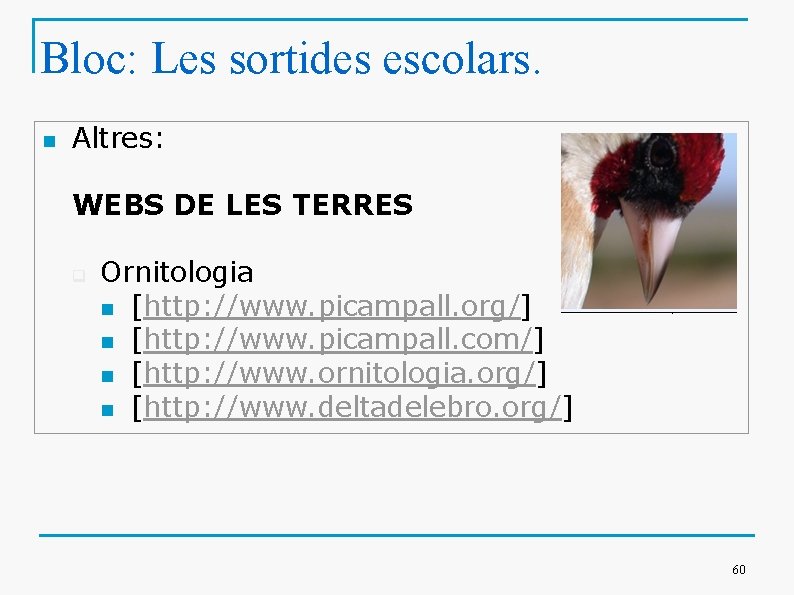 Bloc: Les sortides escolars. n Altres: WEBS DE LES TERRES q Ornitologia n [http: