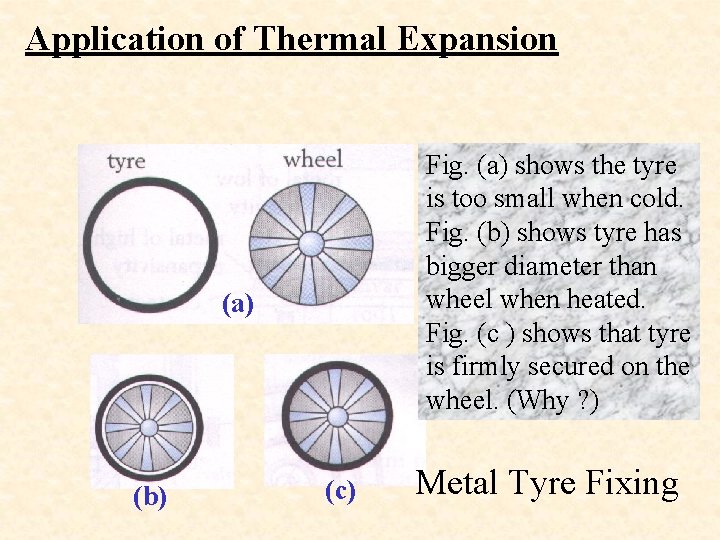 Application of Thermal Expansion Fig. (a) shows the tyre is too small when cold.