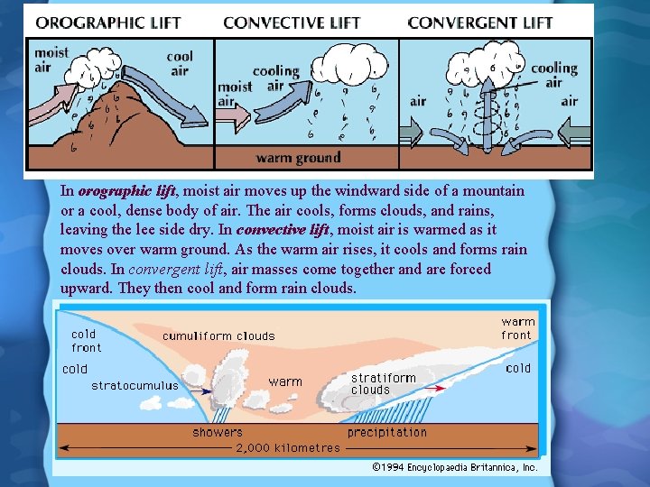 In orographic lift, moist air moves up the windward side of a mountain or