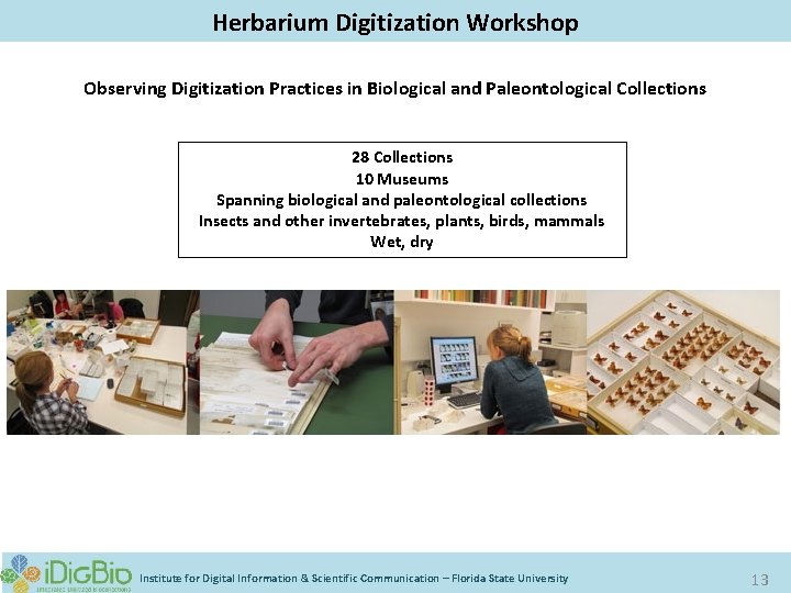 Digitizing Biological Collections Herbarium Digitization Workshop Observing Digitization Practices in Biological and Paleontological Collections