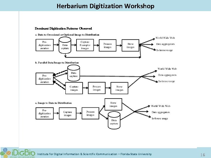 Digitizing Biological Collections Herbarium Digitization Workshop Dominant Digitization Patterns Observed Institute for Digital Information