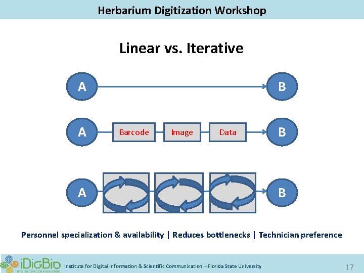 Digitizing Biological Collections Herbarium Digitization Workshop Linear vs. Iterative A A B Barcode Image