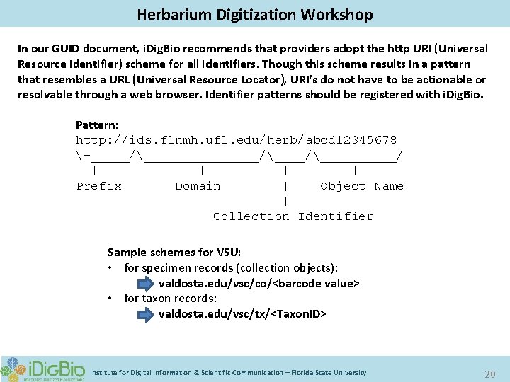 Digitizing Biological Collections Herbarium Digitization Workshop In our GUID document, i. Dig. Bio recommends