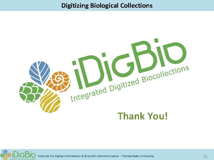 Digitizing Biological Collections Thank You! Institute for Digital Information & Scientific Communication – Florida