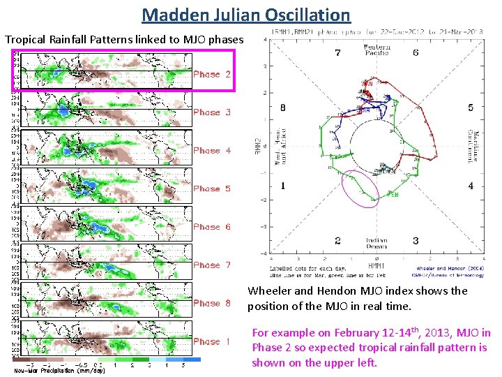 Madden Julian Oscillation Tropical Rainfall Patterns linked to MJO phases Wheeler and Hendon MJO