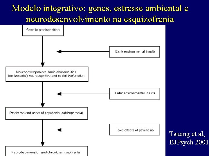 Modelo integrativo: genes, estresse ambiental e neurodesenvolvimento na esquizofrenia Tsuang et al, BJPsych 2001