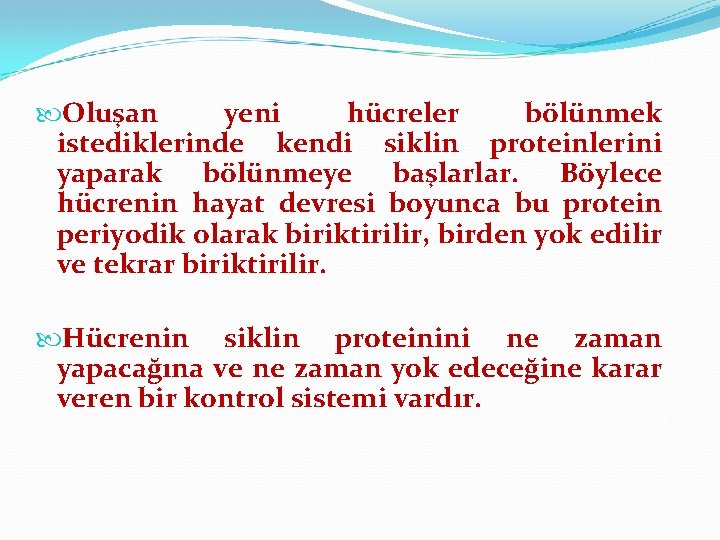  Oluşan yeni hücreler bölünmek istediklerinde kendi siklin proteinlerini yaparak bölünmeye başlarlar. Böylece hücrenin