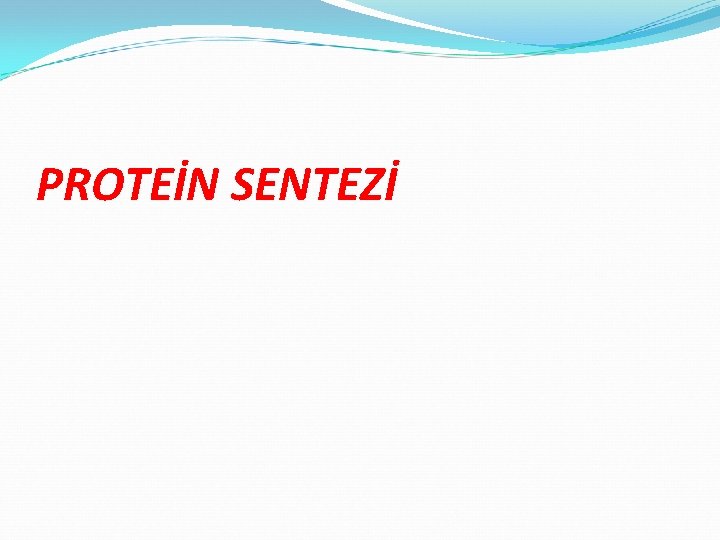 PROTEİN SENTEZİ 