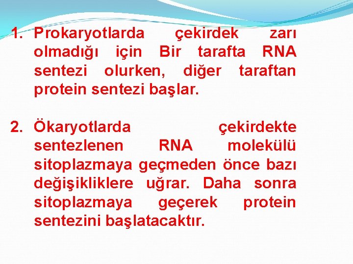 1. Prokaryotlarda çekirdek zarı olmadığı için Bir tarafta RNA sentezi olurken, diğer taraftan protein