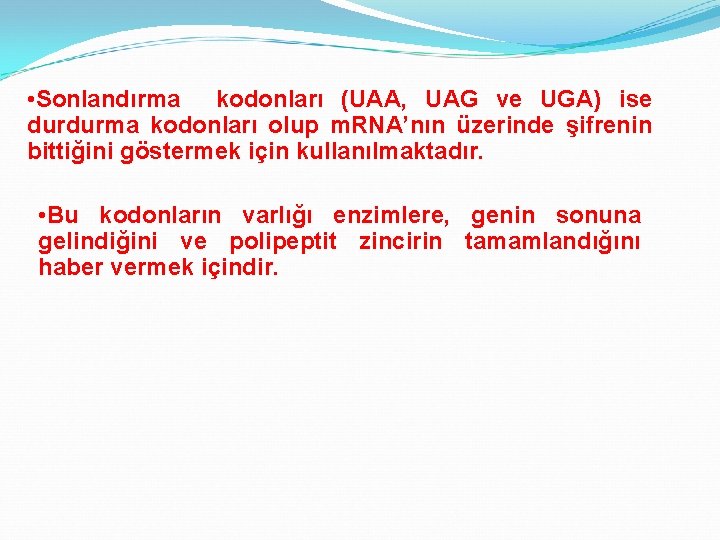  • Sonlandırma kodonları (UAA, UAG ve UGA) ise durdurma kodonları olup m. RNA’nın