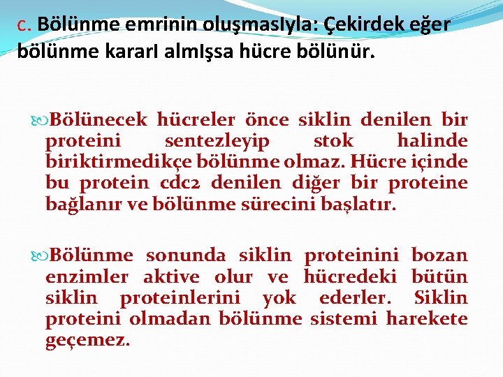 c. Bölünme emrinin oluşmas. Iyla: Çekirdek eğer bölünme karar. I alm. Işsa hücre bölünür.