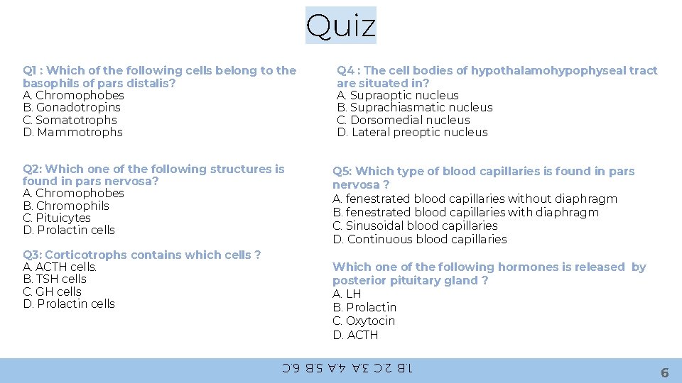Quiz Q 1 : Which of the following cells belong to the basophils of