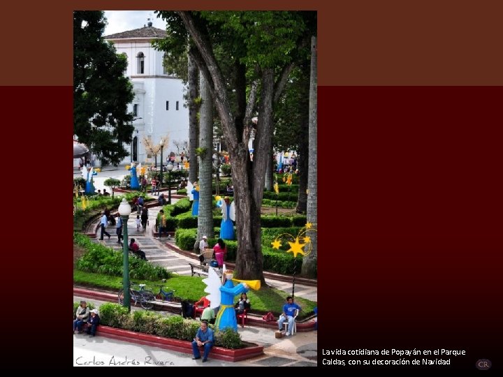 La vida cotidiana de Popayán en el Parque Caldas, con su decoración de Navidad