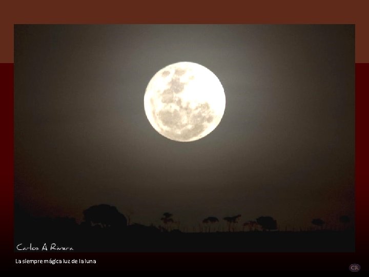 La siempre mágica luz de la luna 