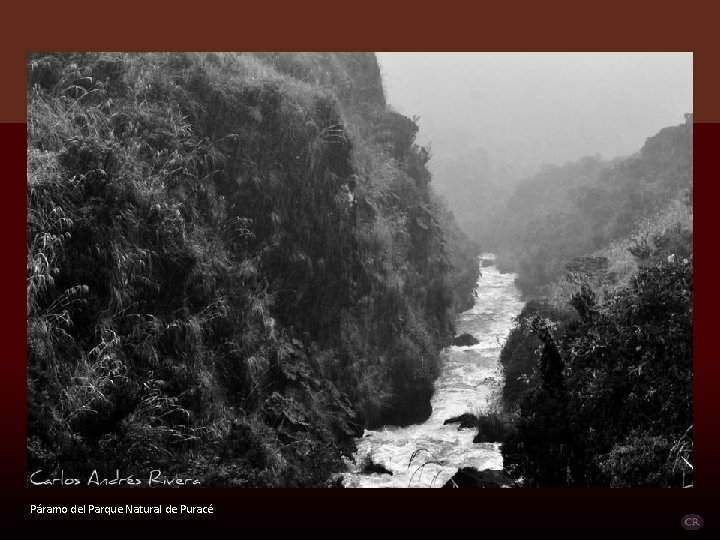 Páramo del Parque Natural de Puracé 