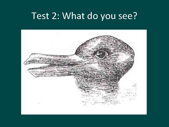 Test 2: What do you see? 