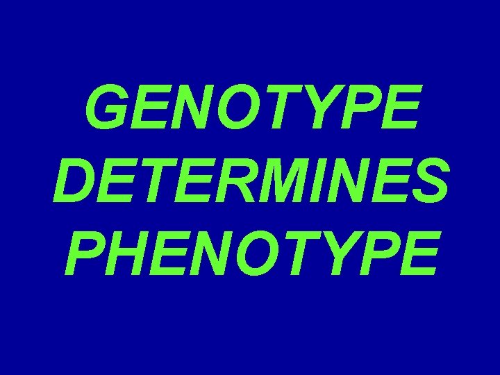 GENOTYPE DETERMINES PHENOTYPE 