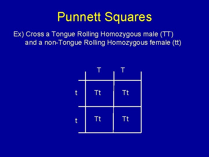 Punnett Squares Ex) Cross a Tongue Rolling Homozygous male (TT) and a non-Tongue Rolling