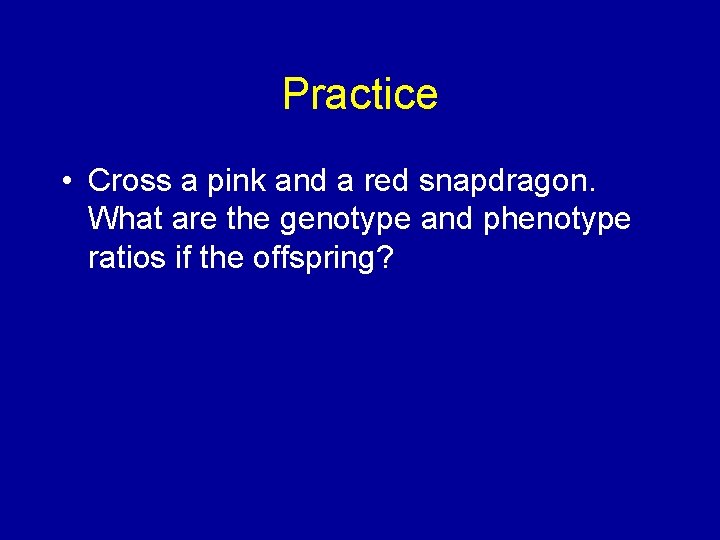 Practice • Cross a pink and a red snapdragon. What are the genotype and