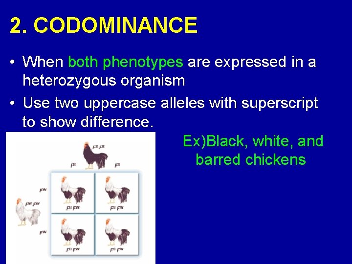 2. CODOMINANCE • When both phenotypes are expressed in a heterozygous organism • Use