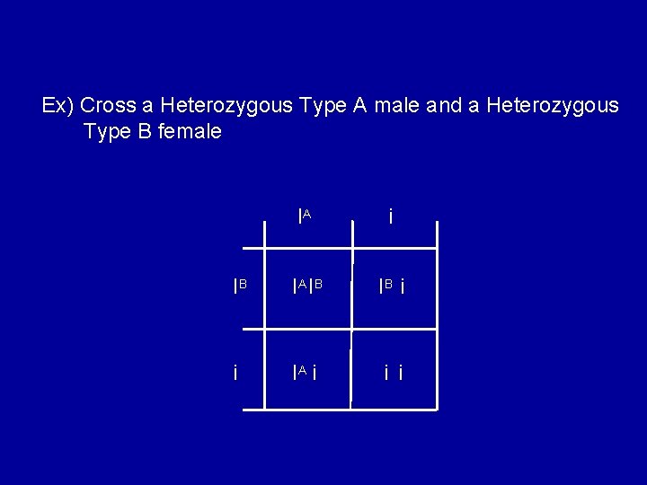 Ex) Cross a Heterozygous Type A male and a Heterozygous Type B female IA