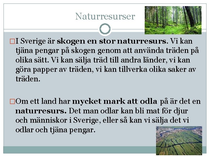 Naturresurser �I Sverige är skogen en stor naturresurs. Vi kan tjäna pengar på skogen