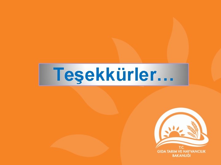 Teşekkürler… 