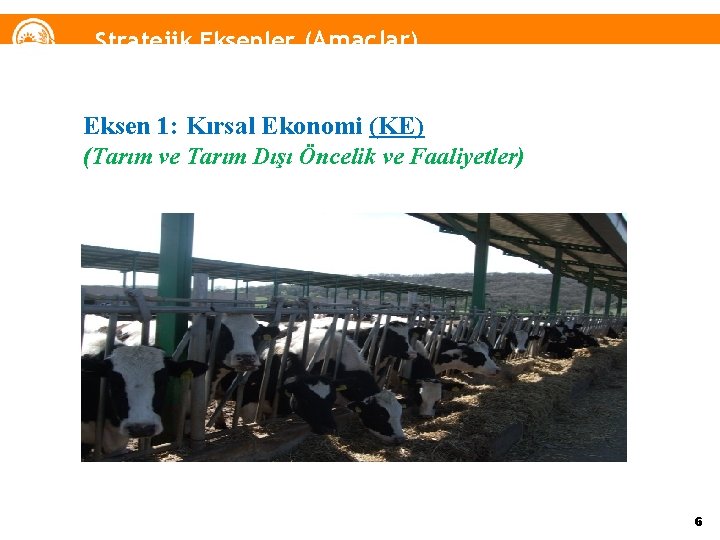 Stratejik Eksenler (Amaçlar) Eksen 1: Kırsal Ekonomi (KE) (Tarım ve Tarım Dışı Öncelik ve