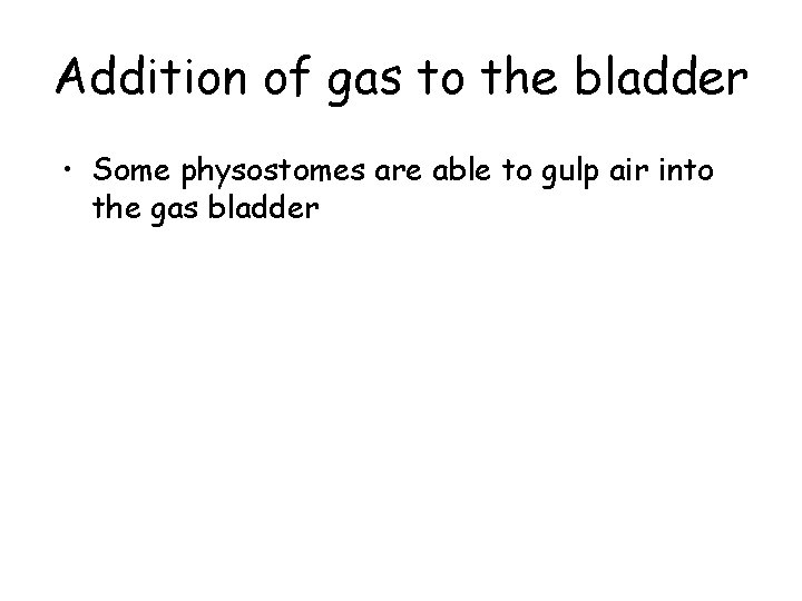 Addition of gas to the bladder • Some physostomes are able to gulp air
